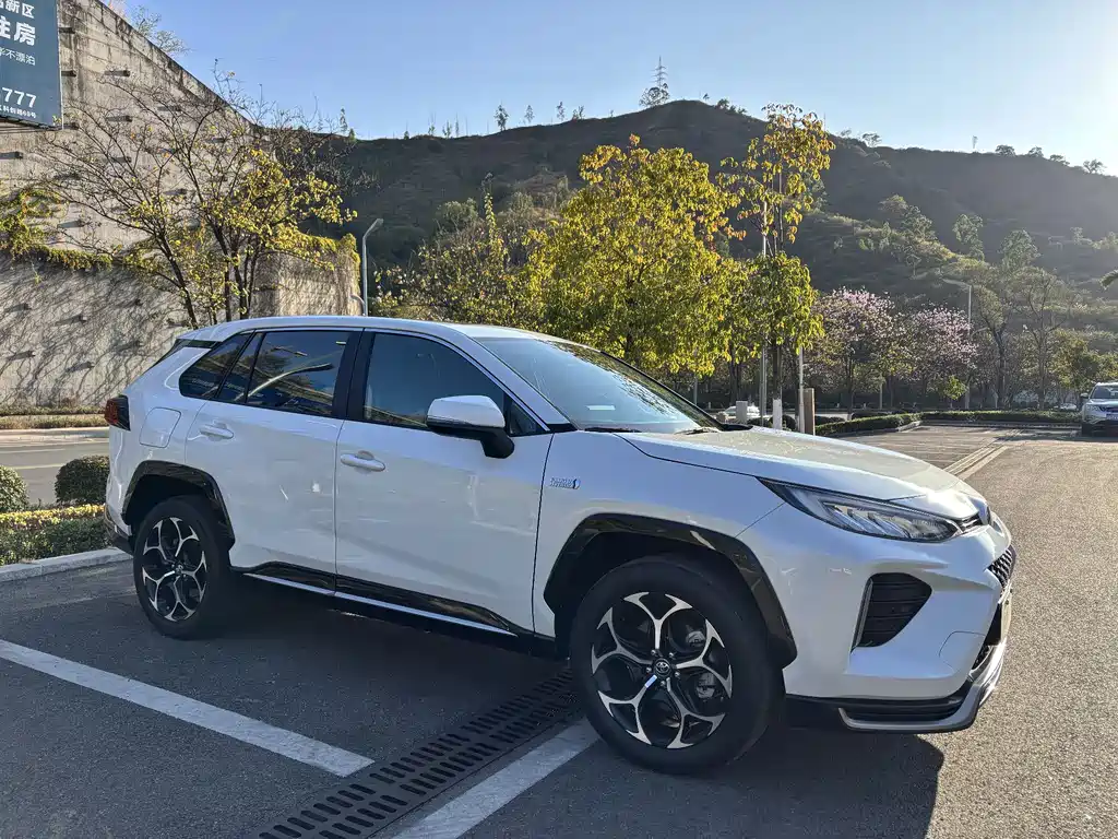 TOYOTA WEILANDA NEW ENERGY