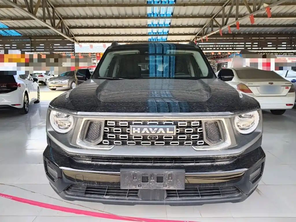 Haval Big Dog PLUS — миниатюра 3