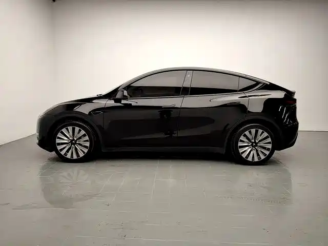 Tesla Model Y — миниатюра 4