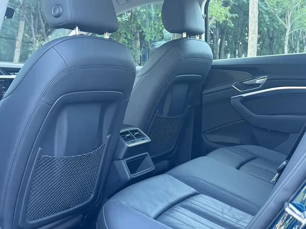 Audi e-tron (Import) — миниатюра 21