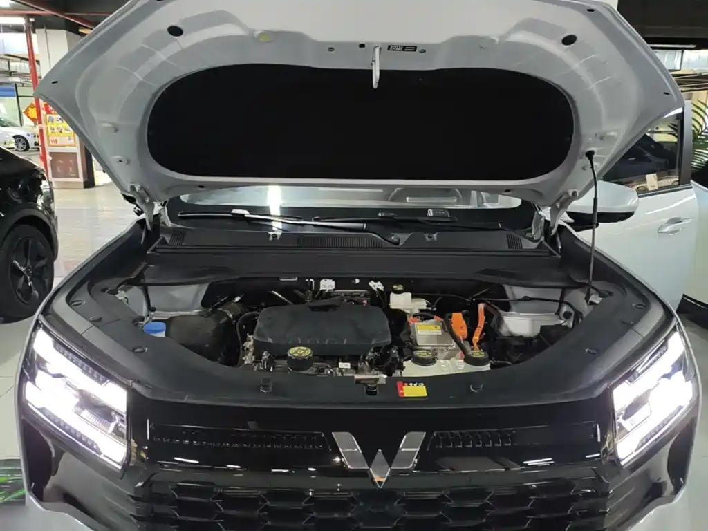 Wuling Xingguang 730 New Energy — миниатюра 20