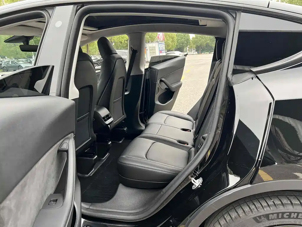 Tesla Model Y — миниатюра 7