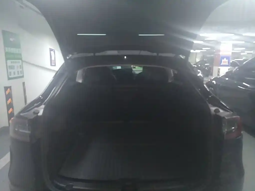 Tesla Model Y — миниатюра 19