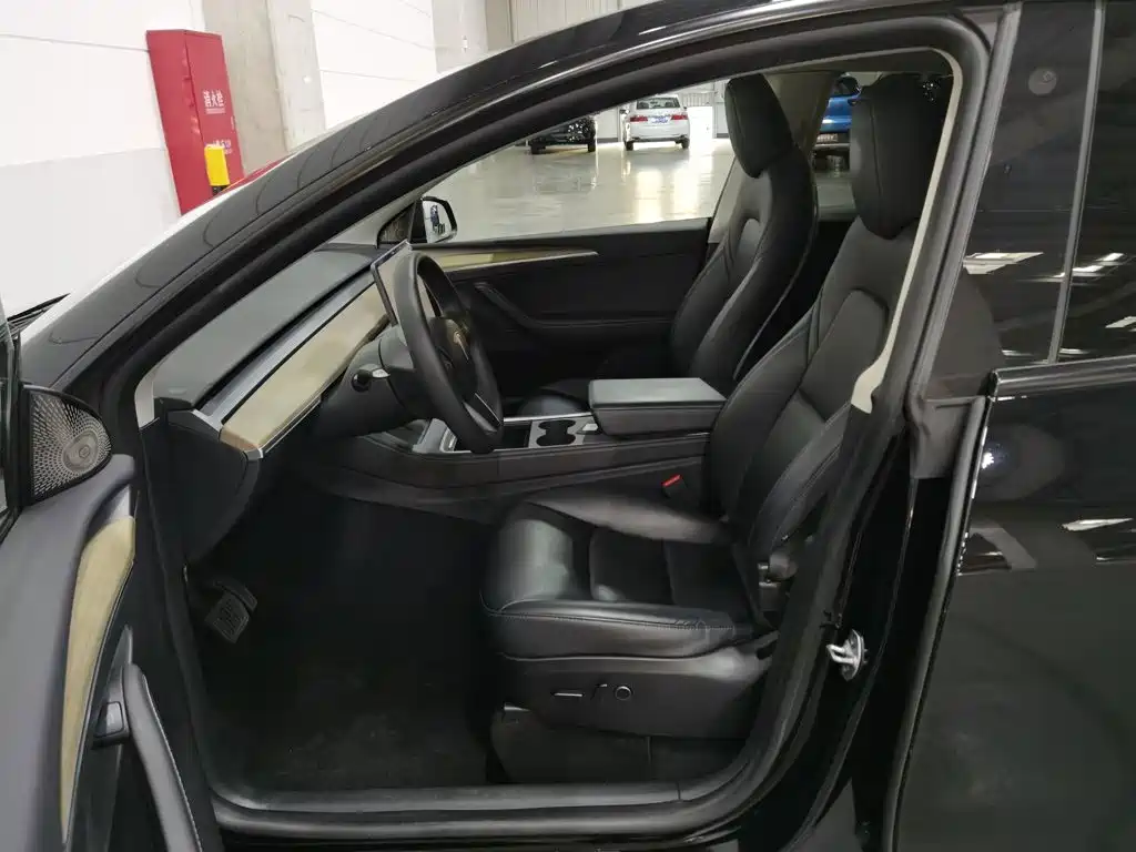 Tesla Model Y — миниатюра 10