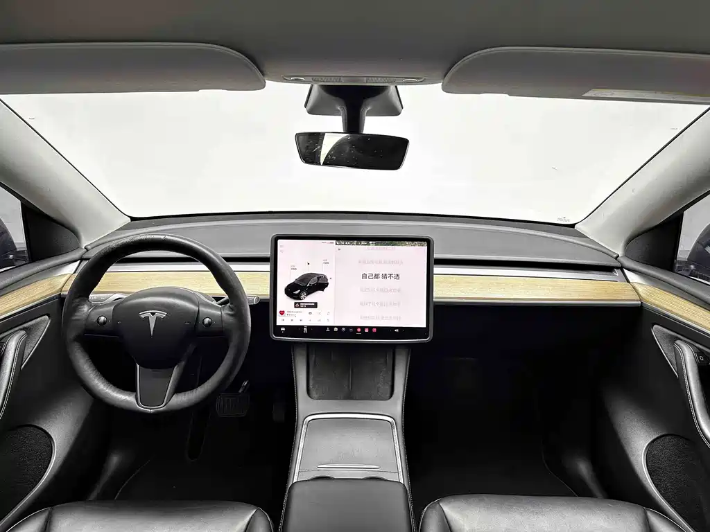 Tesla Model Y — миниатюра 13