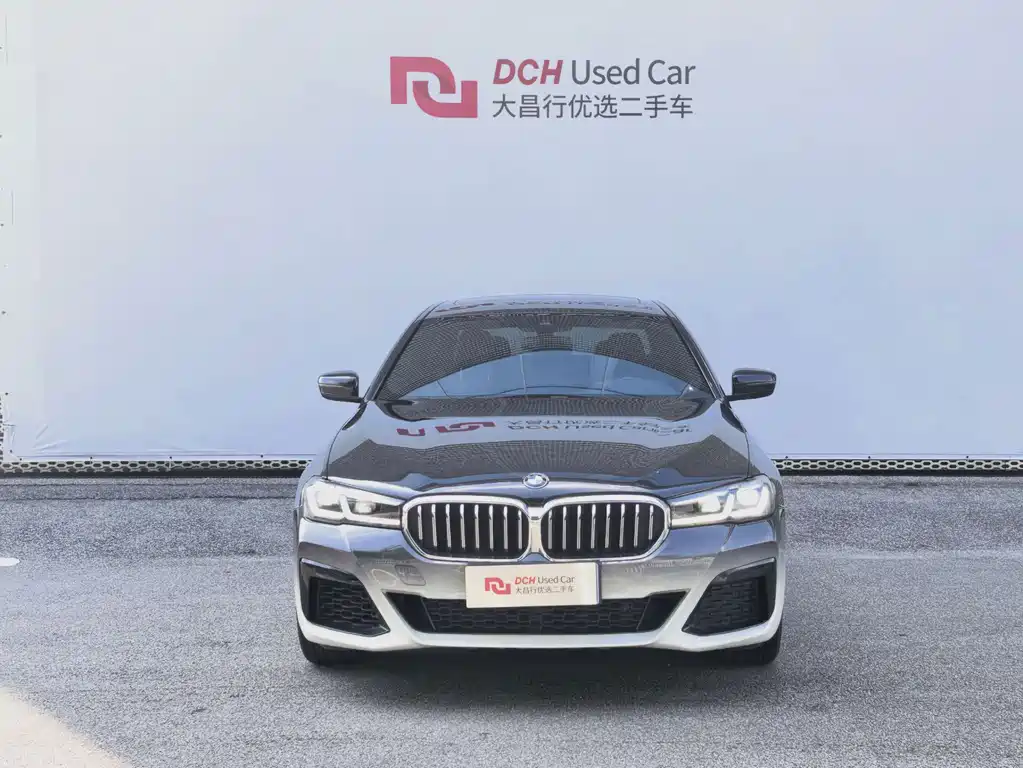 BMW 5 Series — миниатюра 2