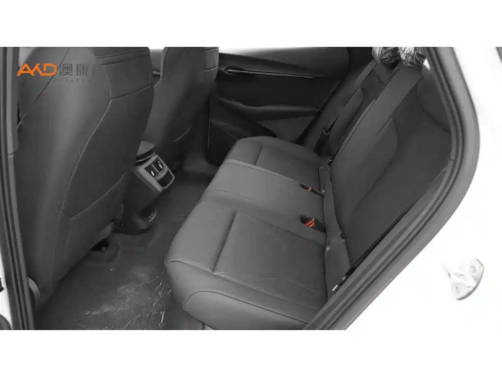 VOLKSWAGEN WITH THE CROWD 06