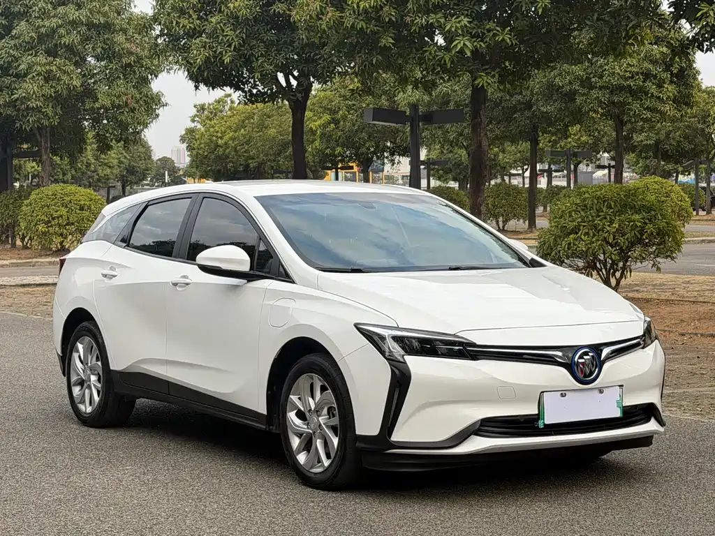 BUICK SLIGHTLY BLUE 6