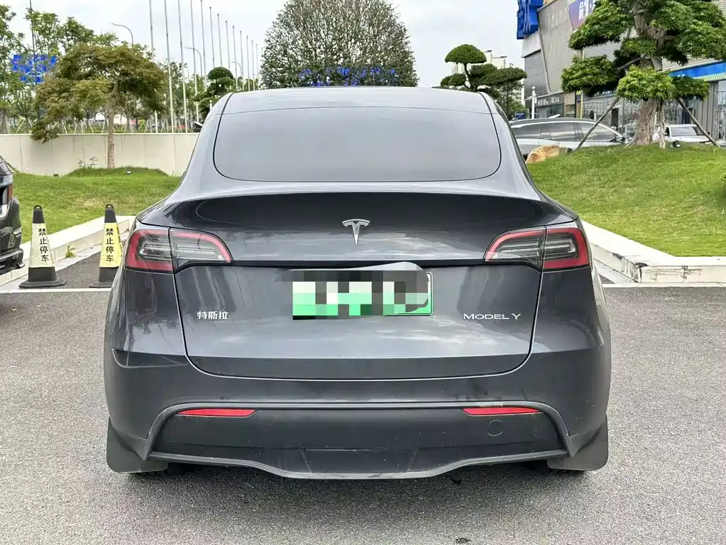 Tesla Model Y — миниатюра 8