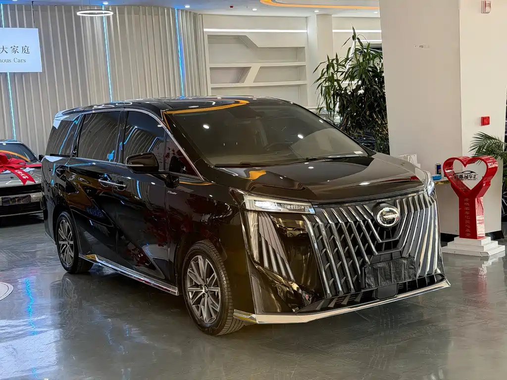 GAC Motor Trumpchi M8 — миниатюра 3