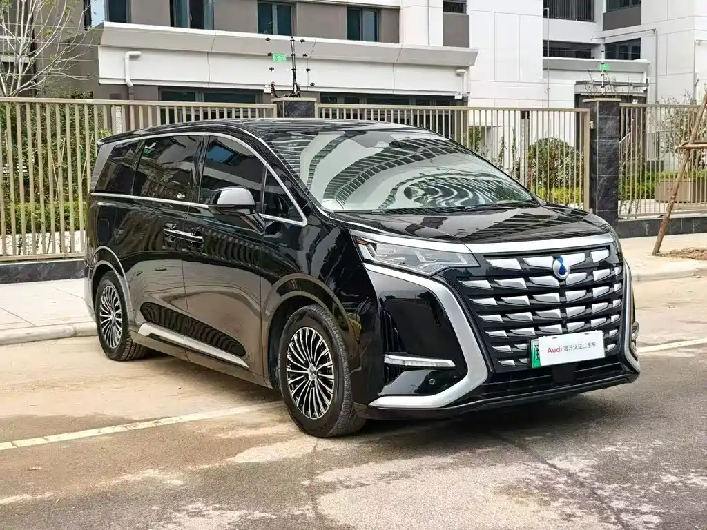 Denza Denza D9 — миниатюра 3