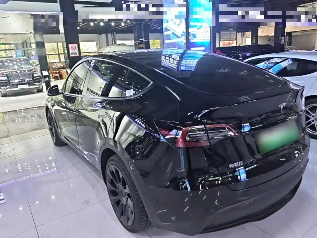 Tesla Model Y — миниатюра 5