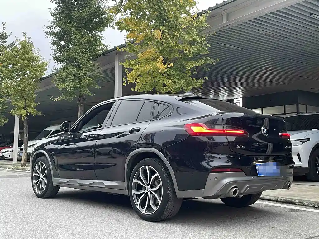 BMW X4 — миниатюра 11