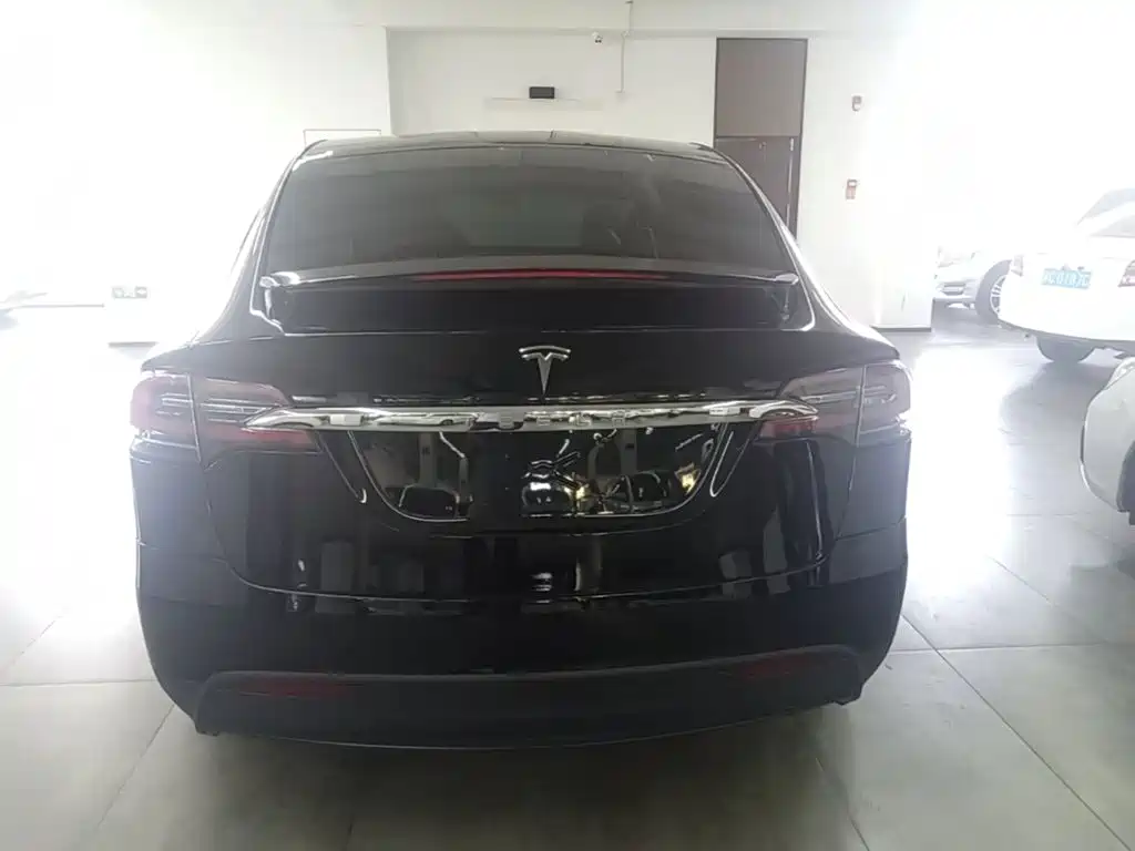 Tesla Model X — миниатюра 4