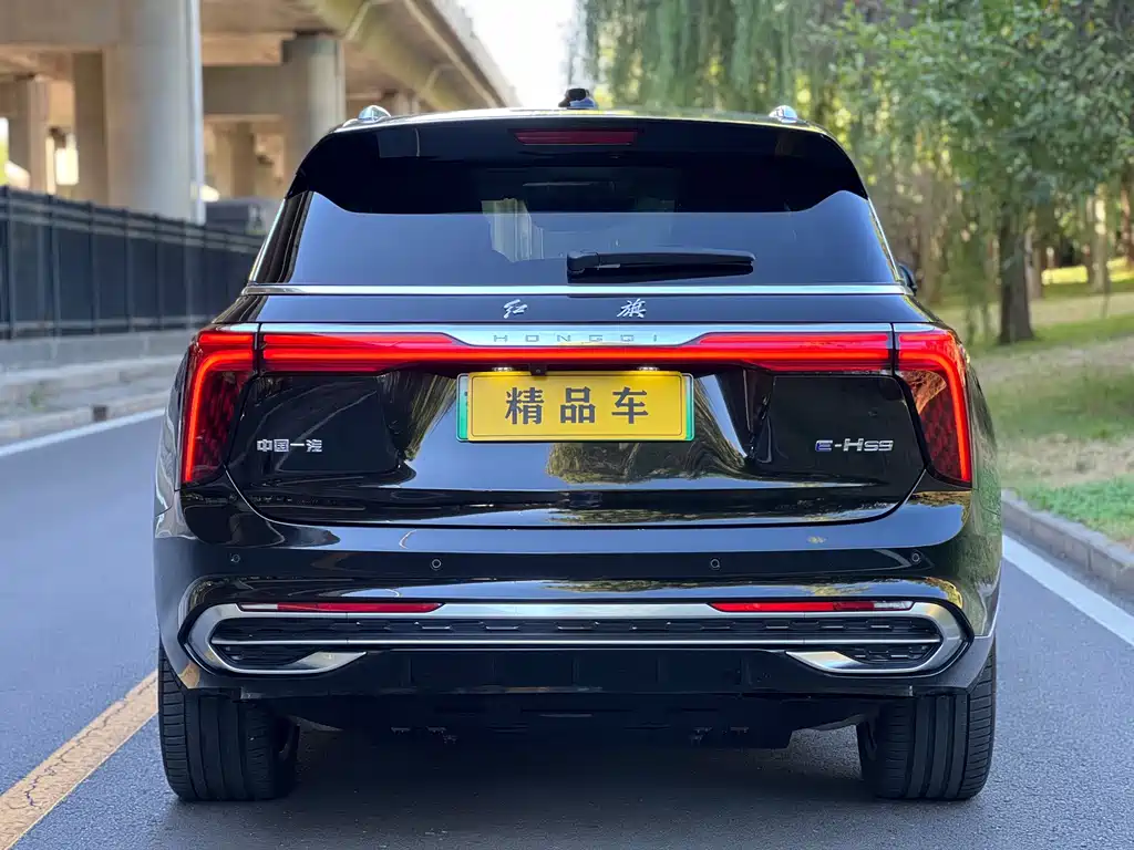 Hongqi Hongqi E-HS9 — миниатюра 6