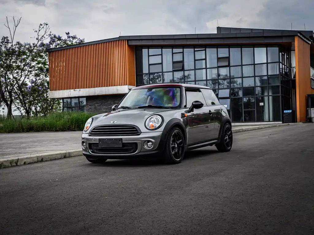 Mini Mini 2013