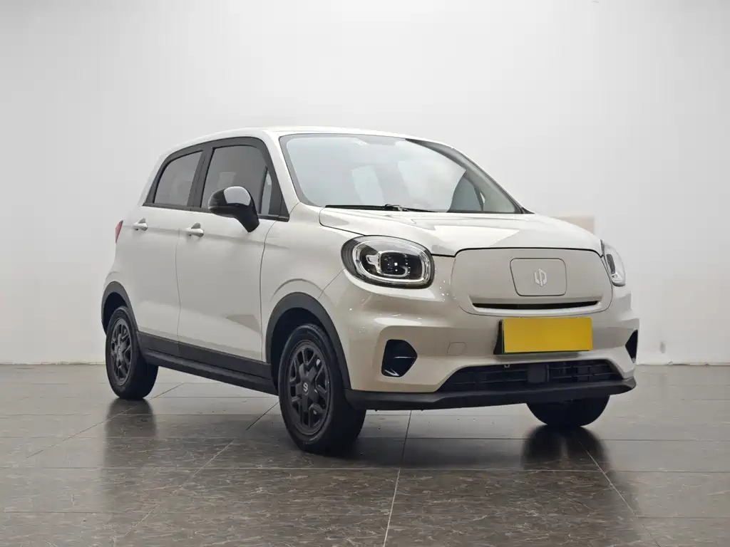Leapmotor T03 2025 310