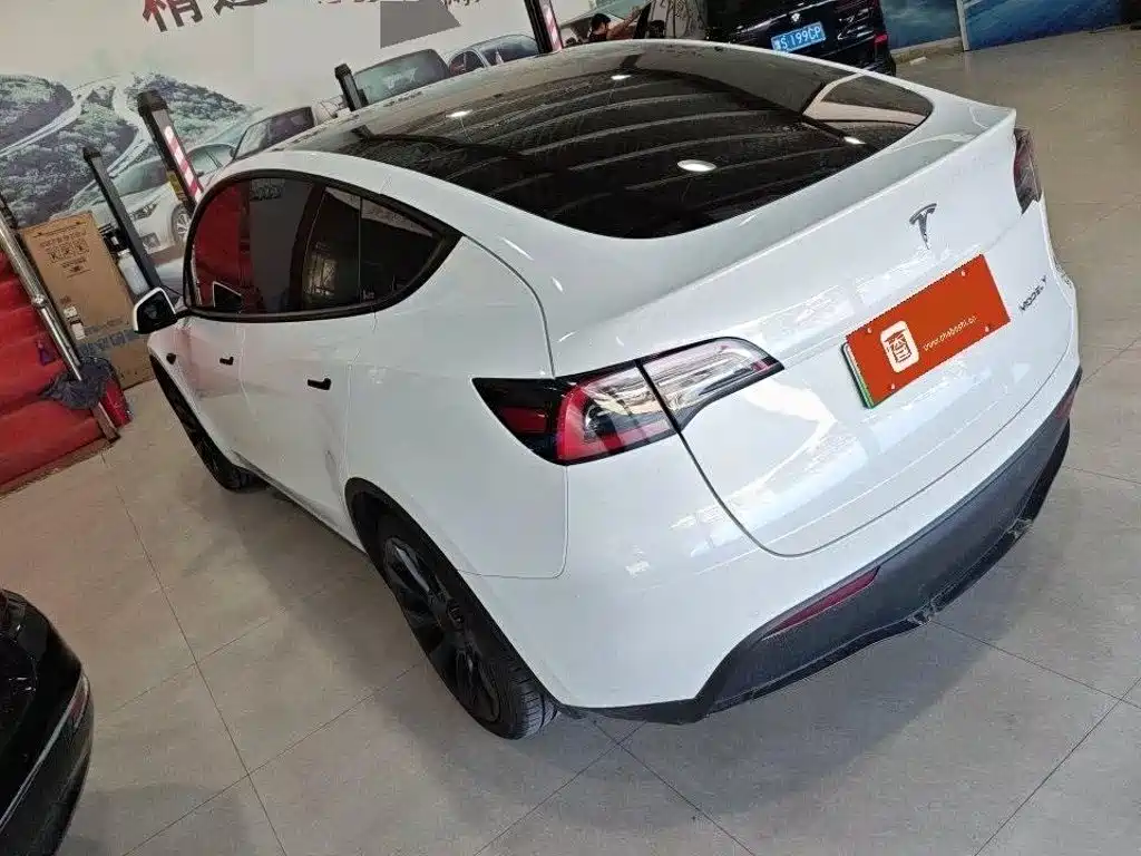 Tesla Model Y — миниатюра 2