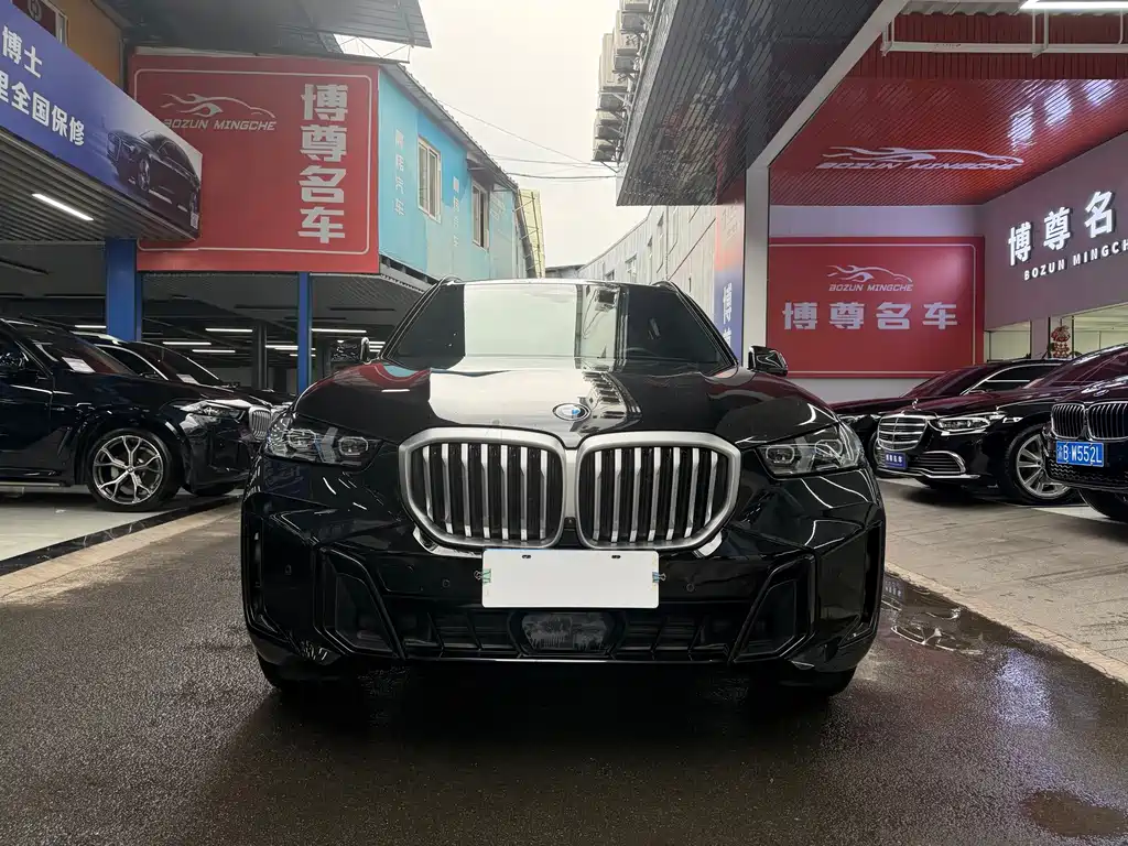 BMW X5 — миниатюра 2