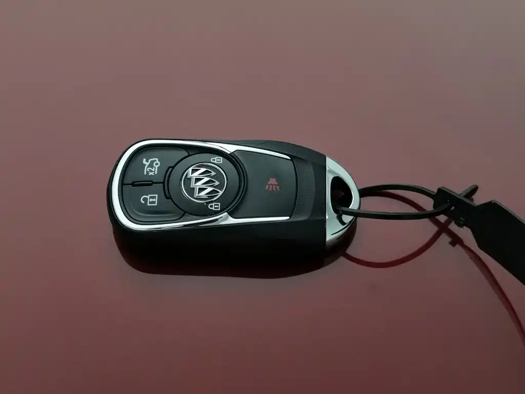 Buick Regal — миниатюра 19