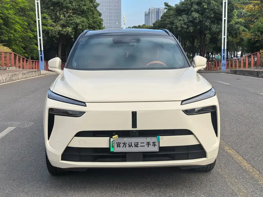 WEI PAI WEI BRAND BLUE MOUNTAIN