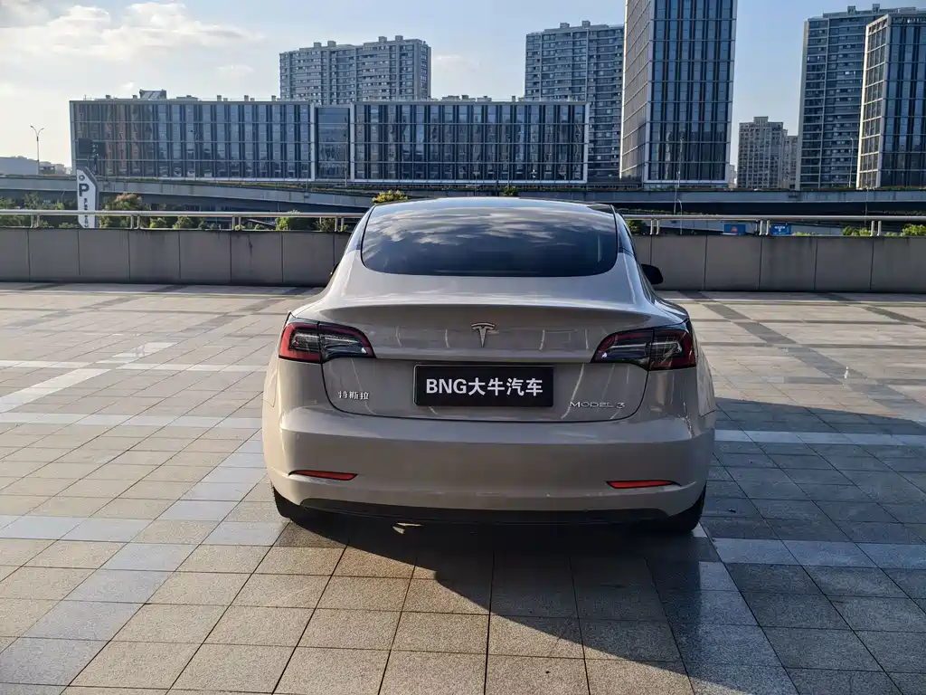 Tesla Model 3 — миниатюра 4