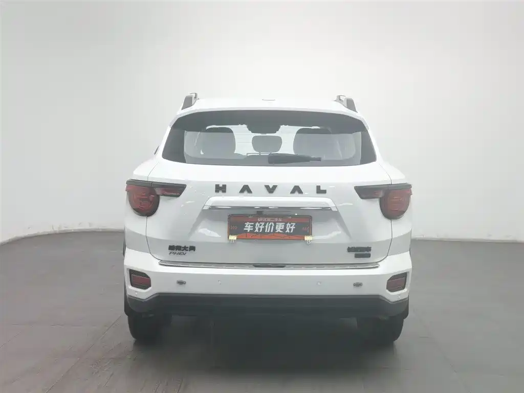 HAVAL SECOND GENERATION BIG DOG NEW ENERGY