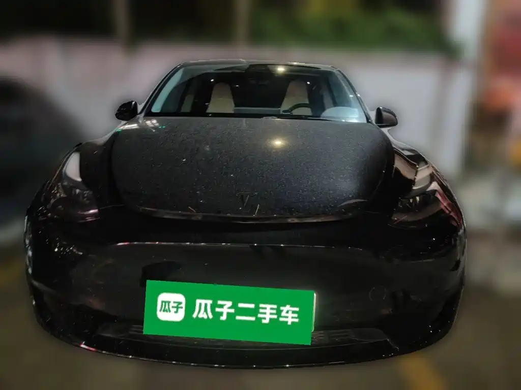 Tesla Model Y — миниатюра 2