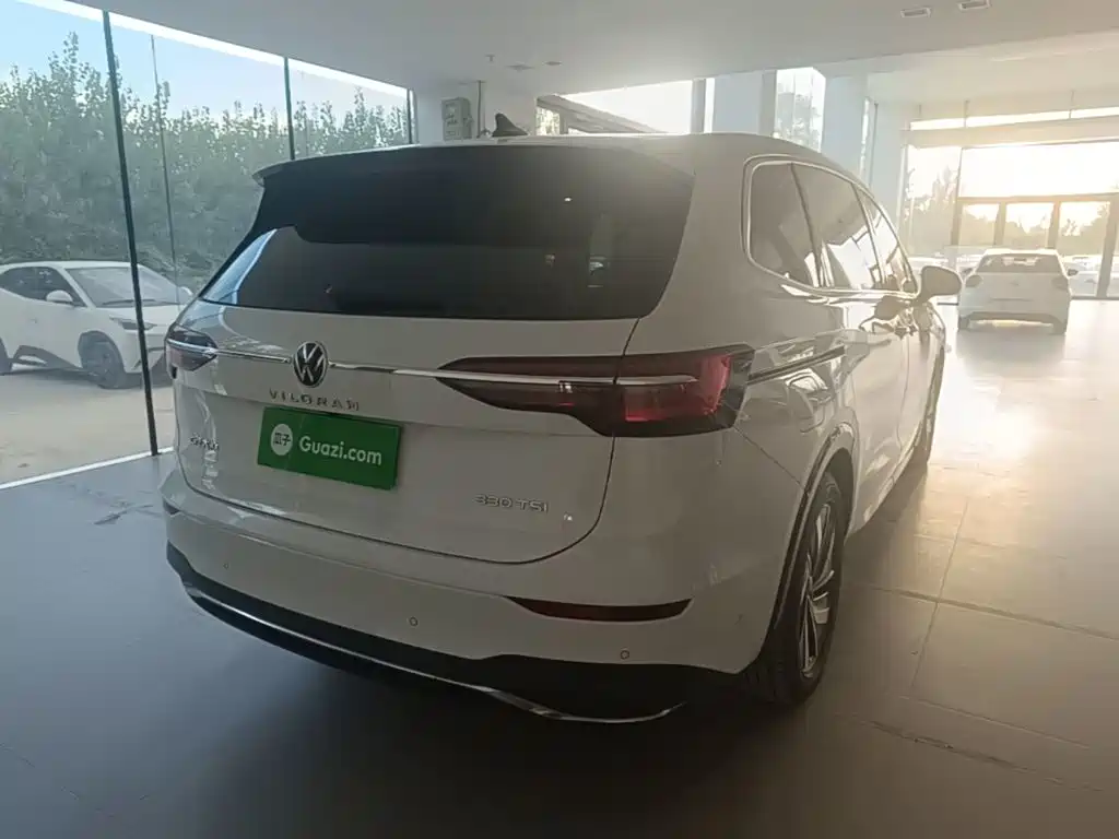Volkswagen Viloran — миниатюра 7