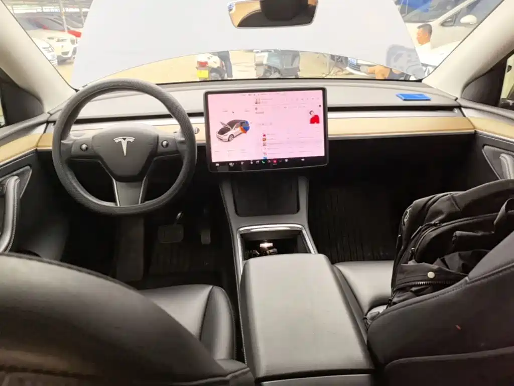 Tesla Model Y — миниатюра 10