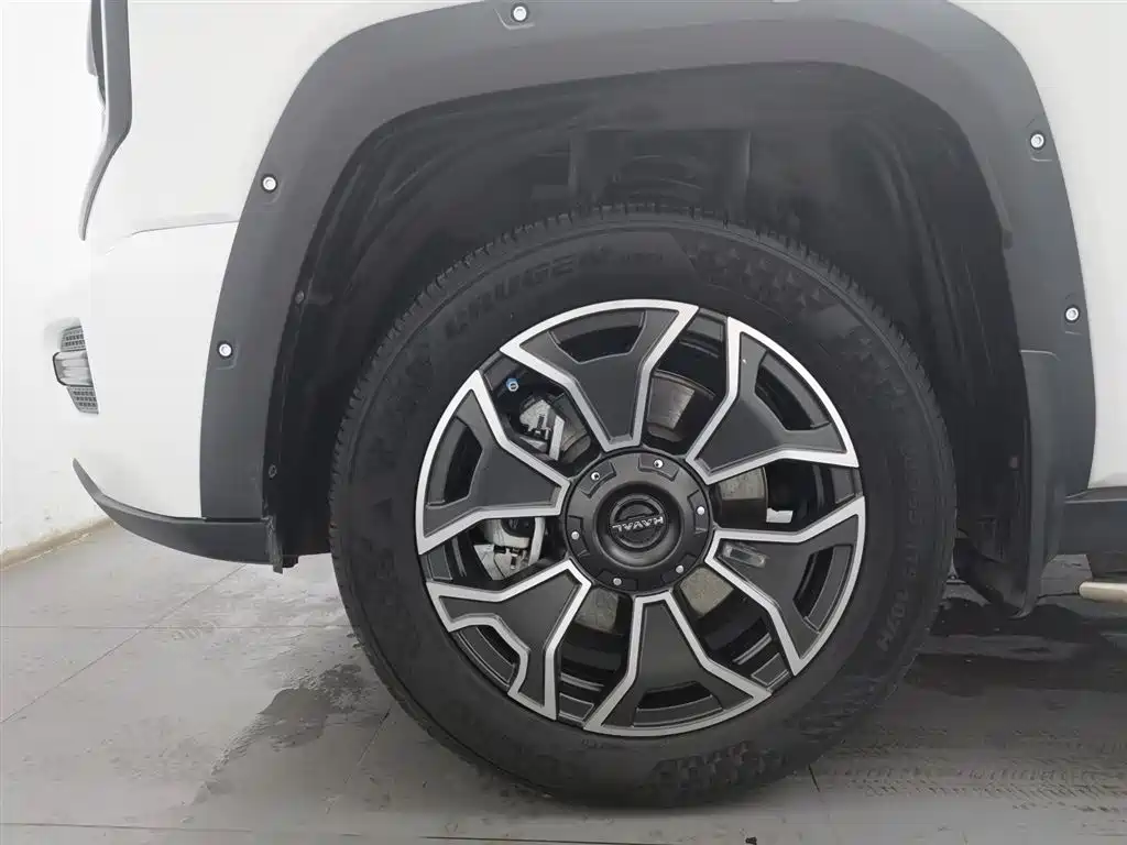 HAVAL SECOND GENERATION BIG DOG NEW ENERGY