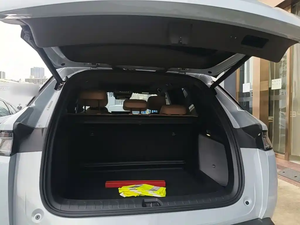 BYD L DM-i — миниатюра 19