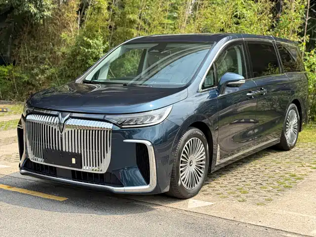 2025 Voyah Dream