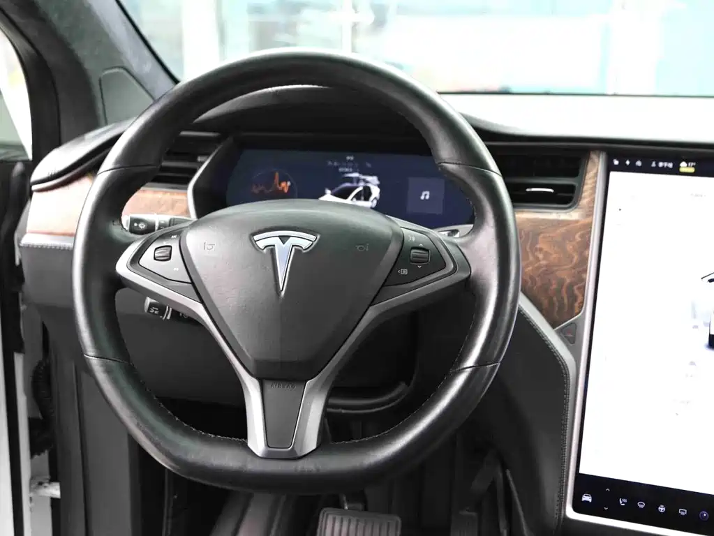 Tesla Model X — миниатюра 8