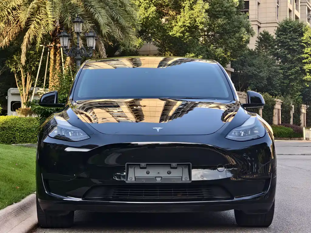 Tesla Model Y — миниатюра 2