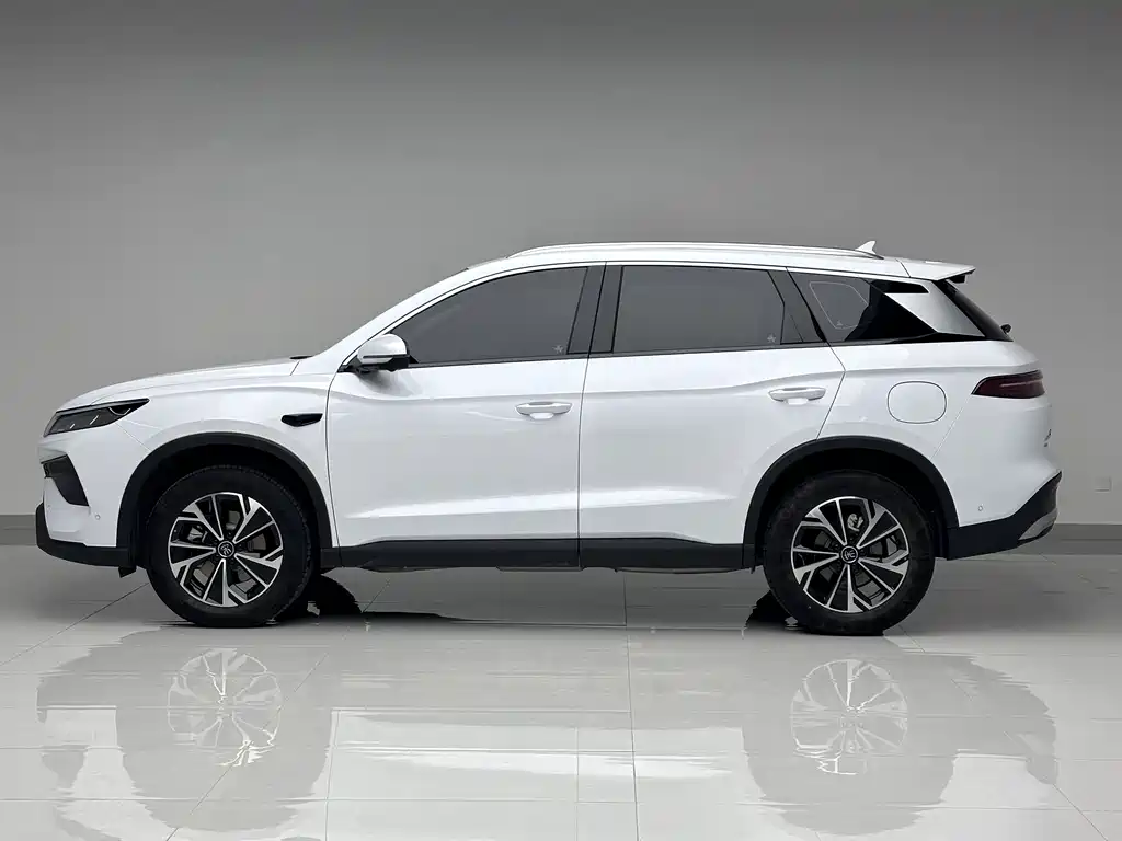 BYD SONGJIANG NEW ENERGY