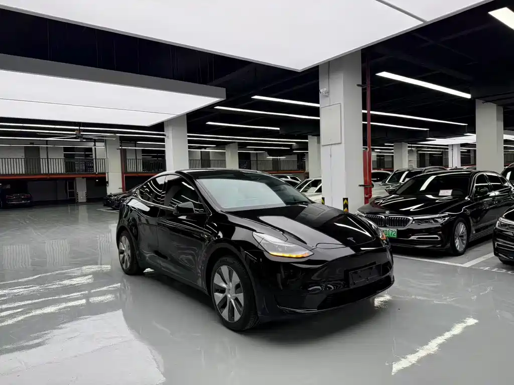 Tesla Model Y — миниатюра 3