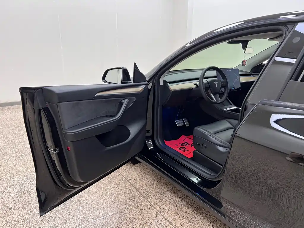 Tesla Model Y — миниатюра 12