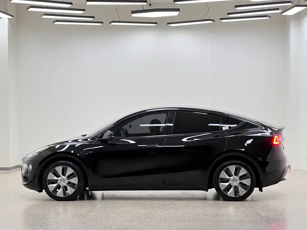 Tesla Model Y — миниатюра 7