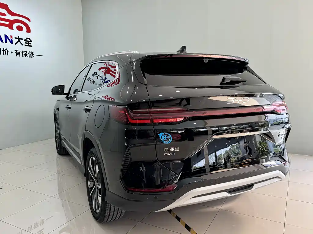 BYD SONGJIANG NEW ENERGY