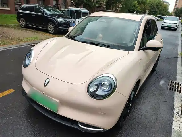 EULER  GOOD CAT 2024