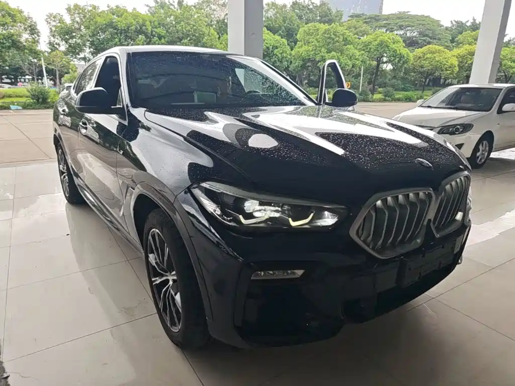 BMW X6 2020 xDrive30i M Sport