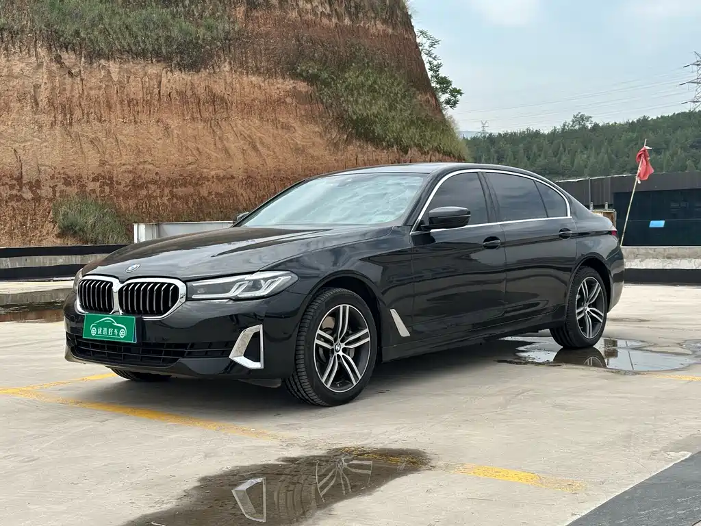 Купить BMW 5 Series