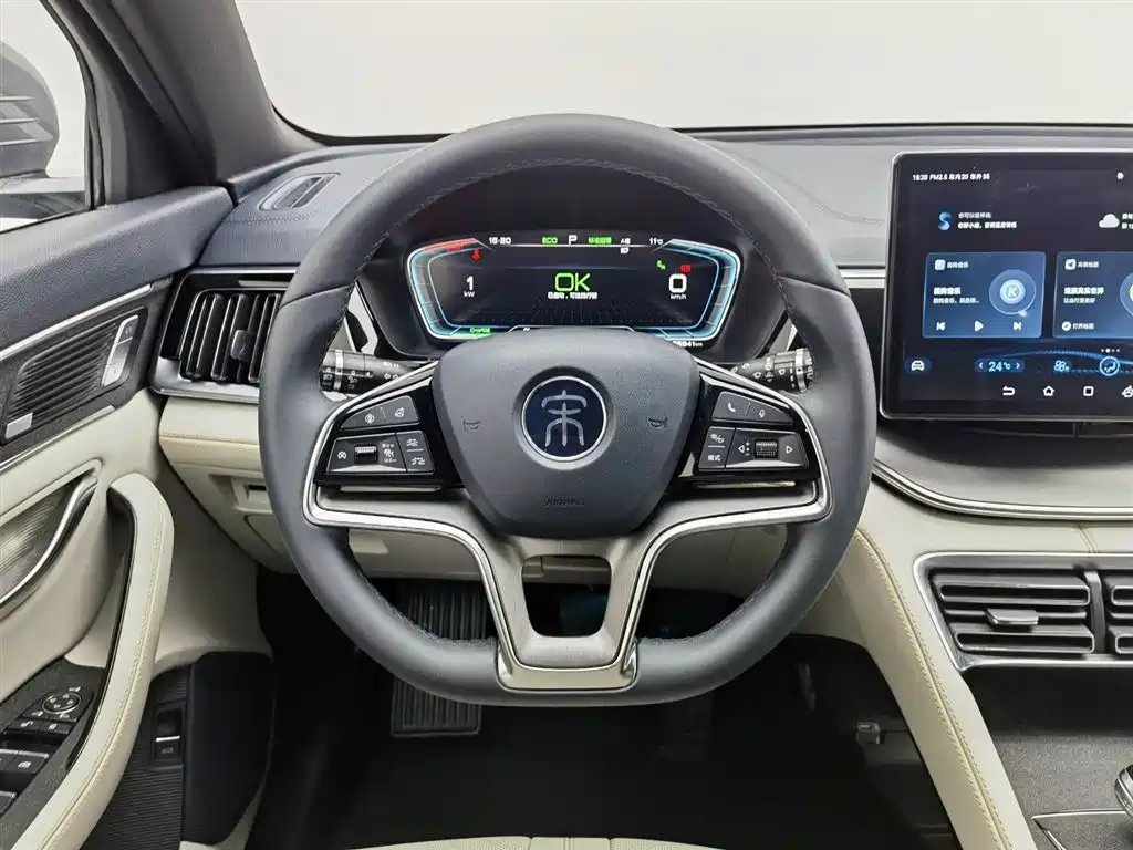 BYD SONGJIANG NEW ENERGY