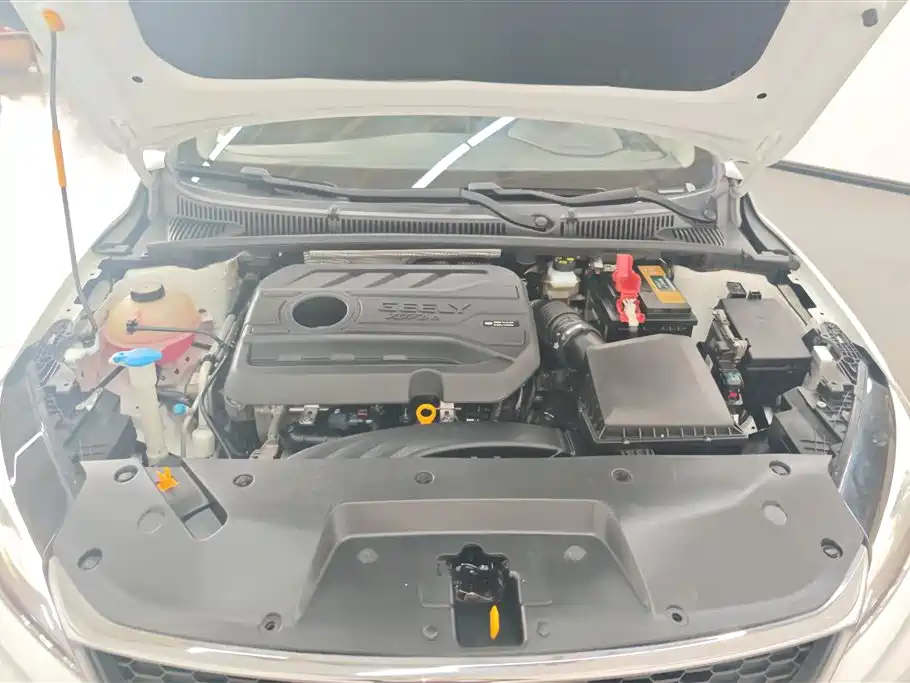 GEELY AUTOMOBILE BINRUI