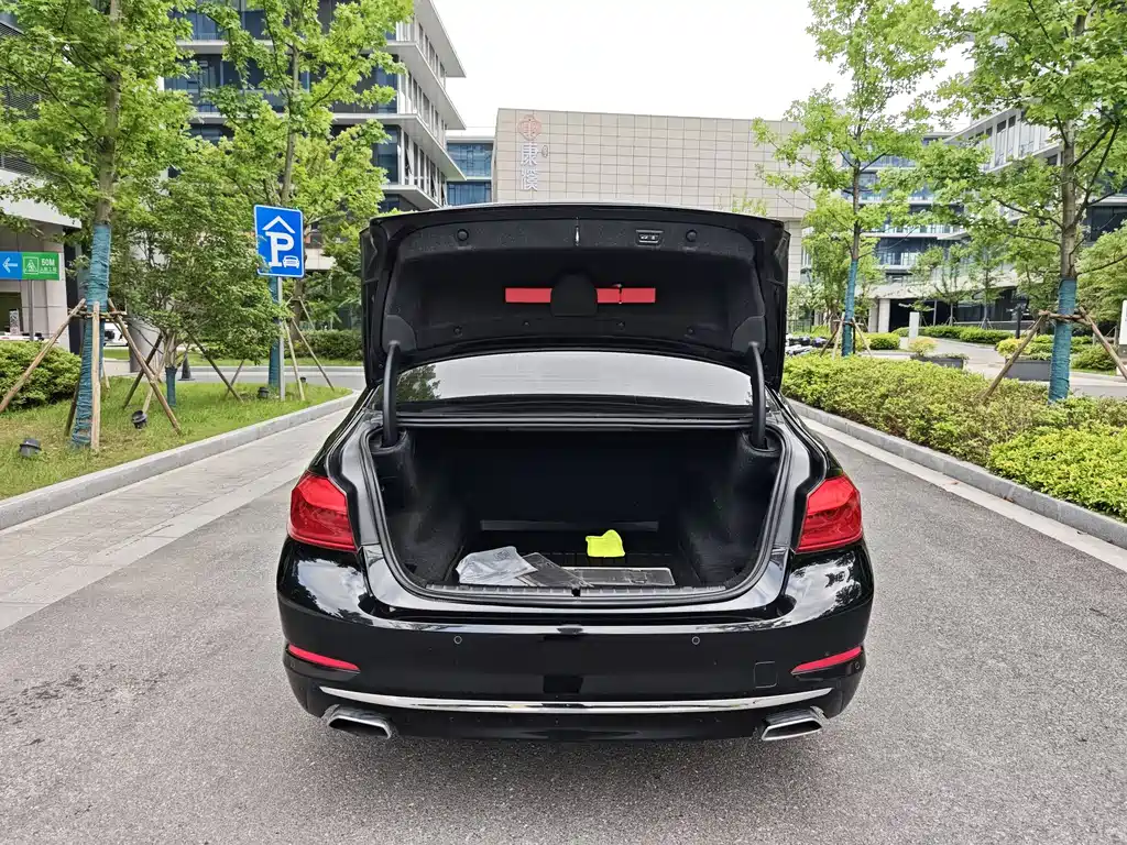BMW 5 Series 5 2018 530Li Premium Luxury