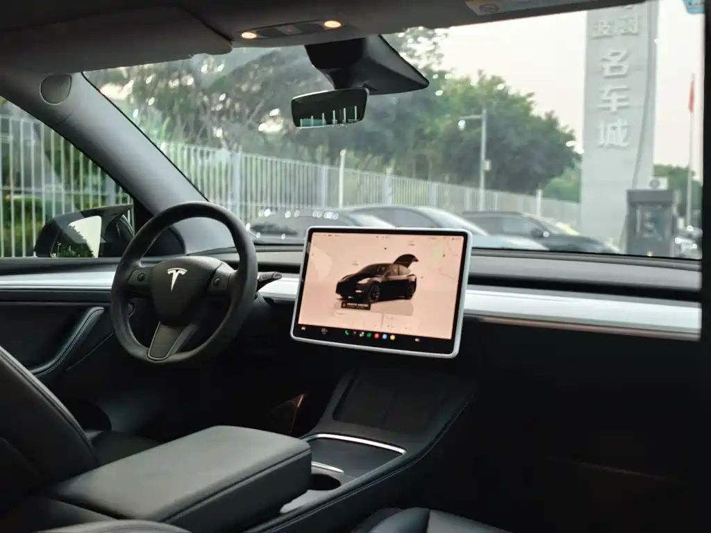 Tesla Model Y — миниатюра 12