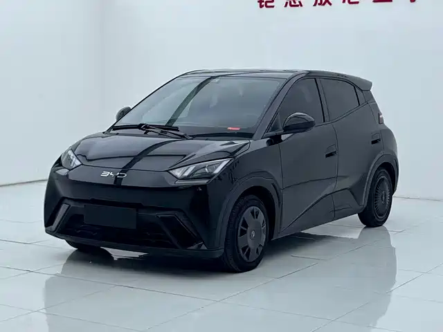 2023 BYD Seagull