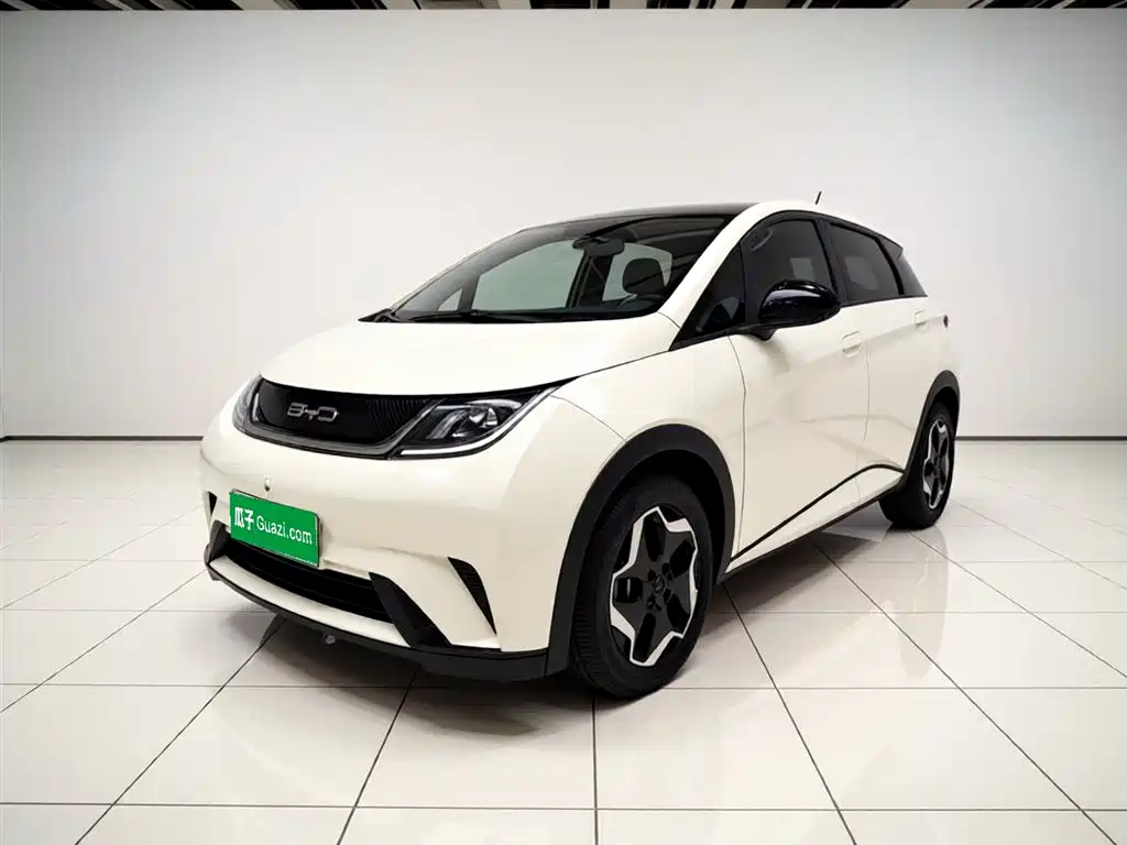 Byd Dolphin 2022