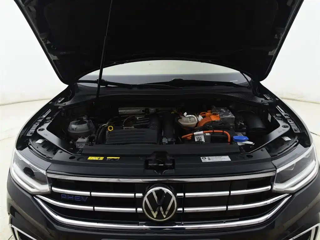 VOLKSWAGEN TIGUAN L NEW ENERGY